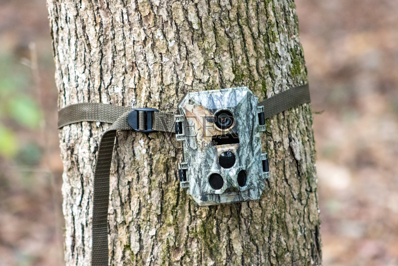猎人跟踪摄像机近距离拍摄照片摄影图片