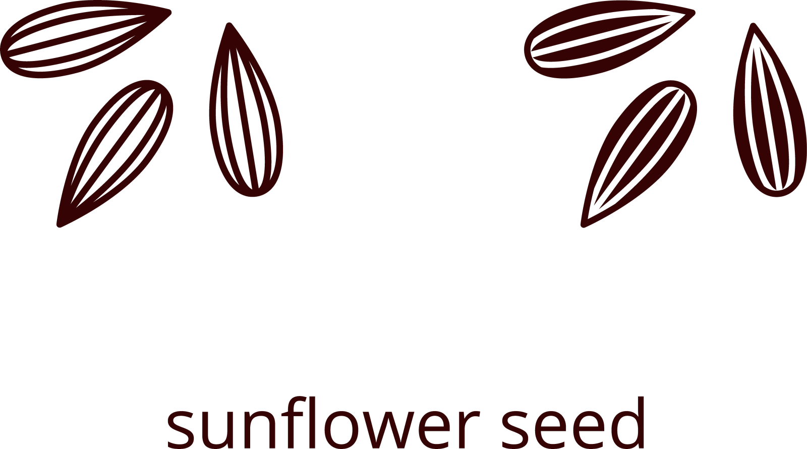 向日葵的种子设计元素图片