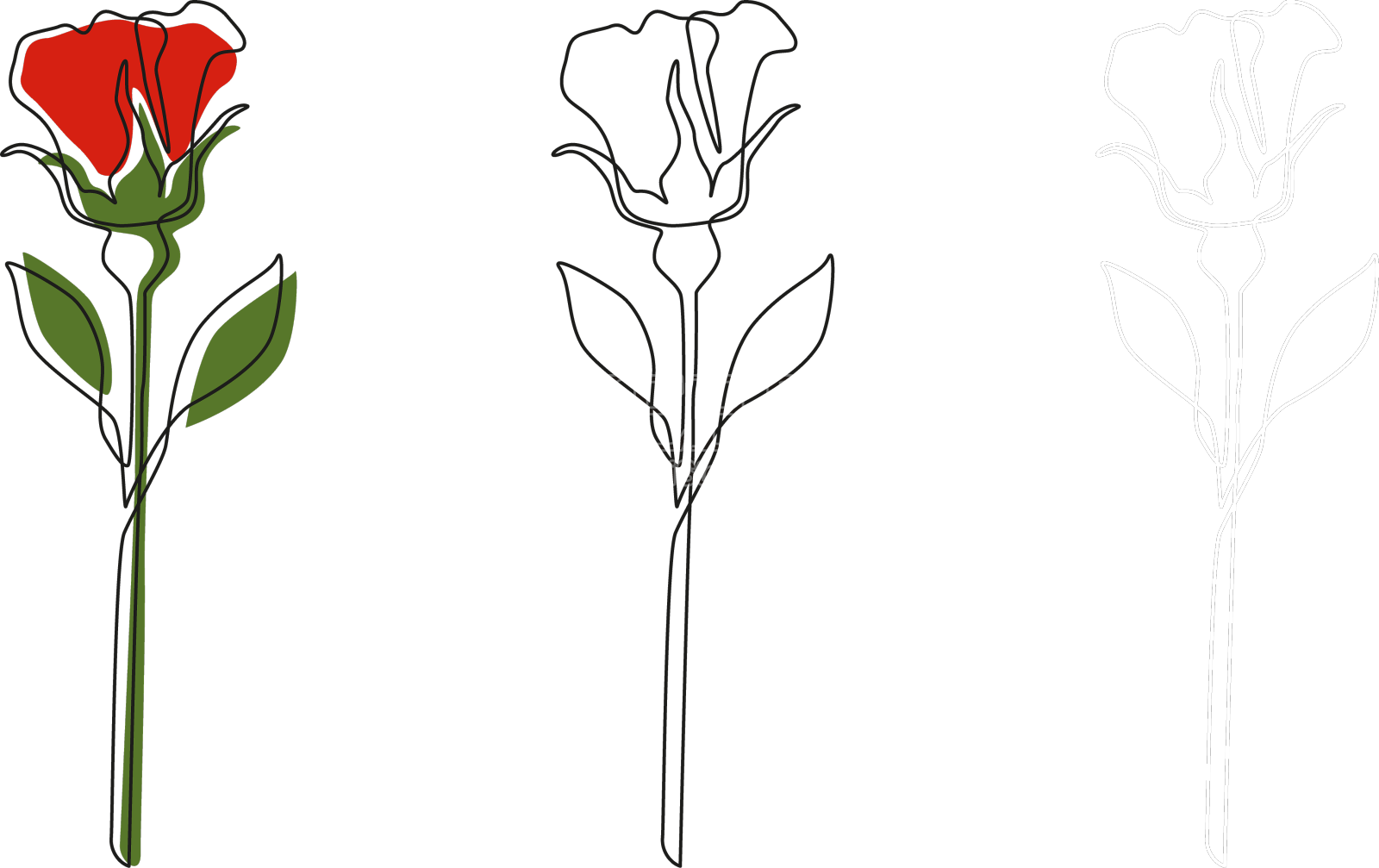 一个简单的玫瑰，有一条线，有黑色的斑点设计元素图片