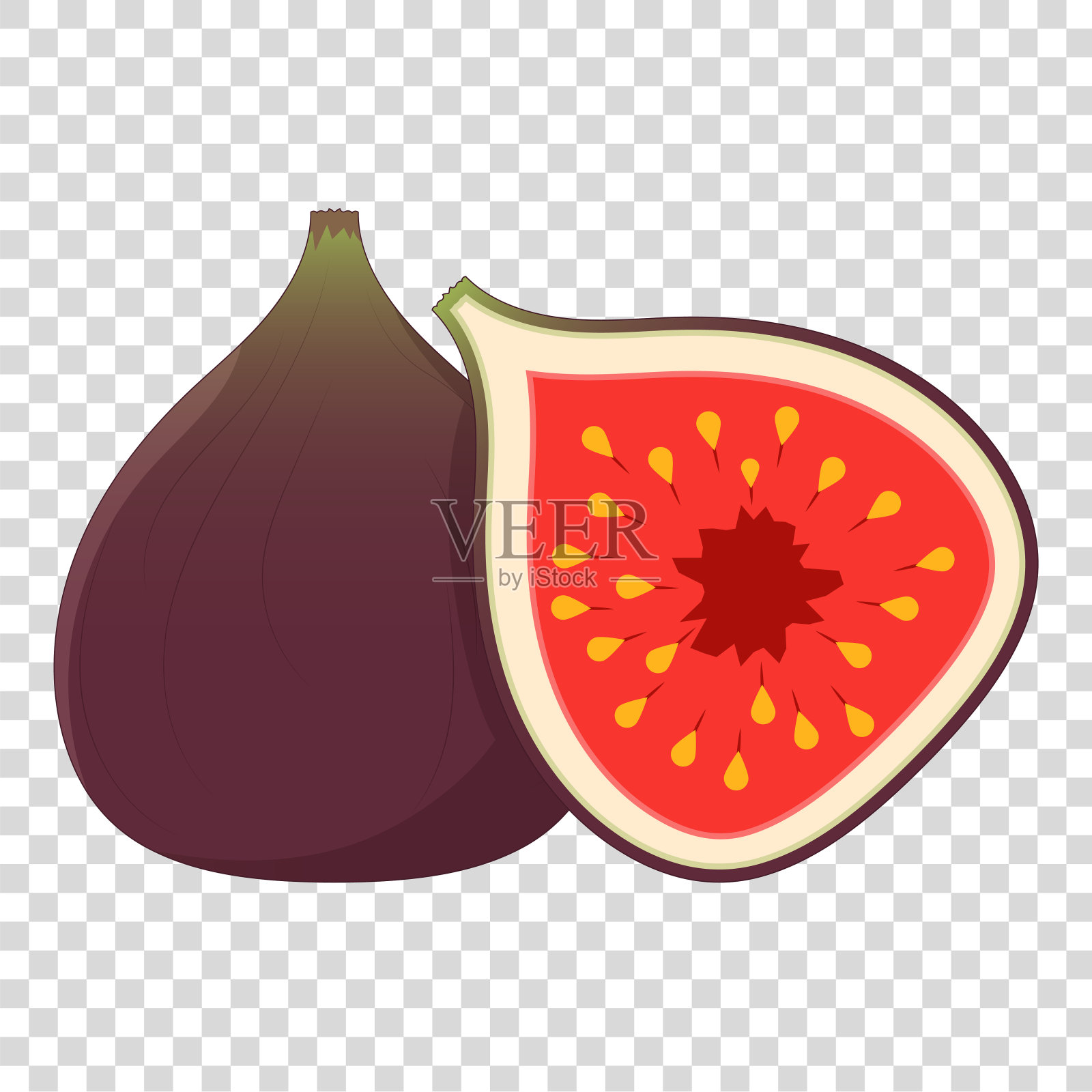 图说明。插画图片素材