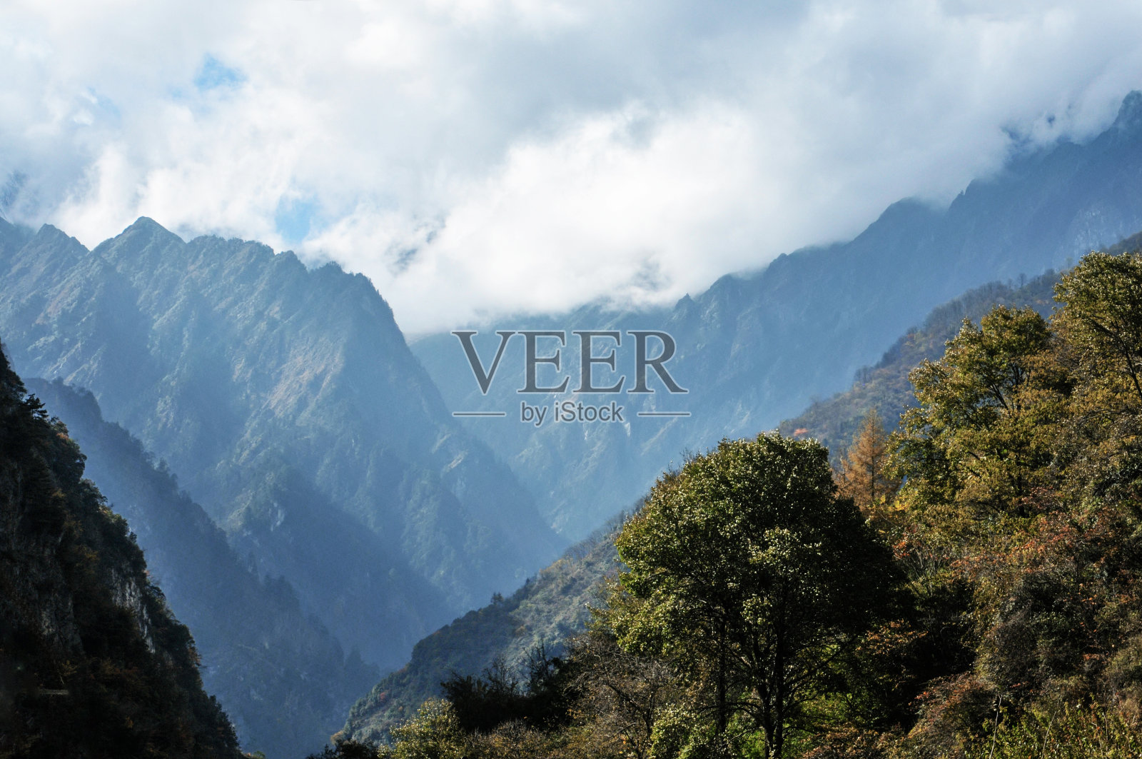 森林里的秋天照片摄影图片