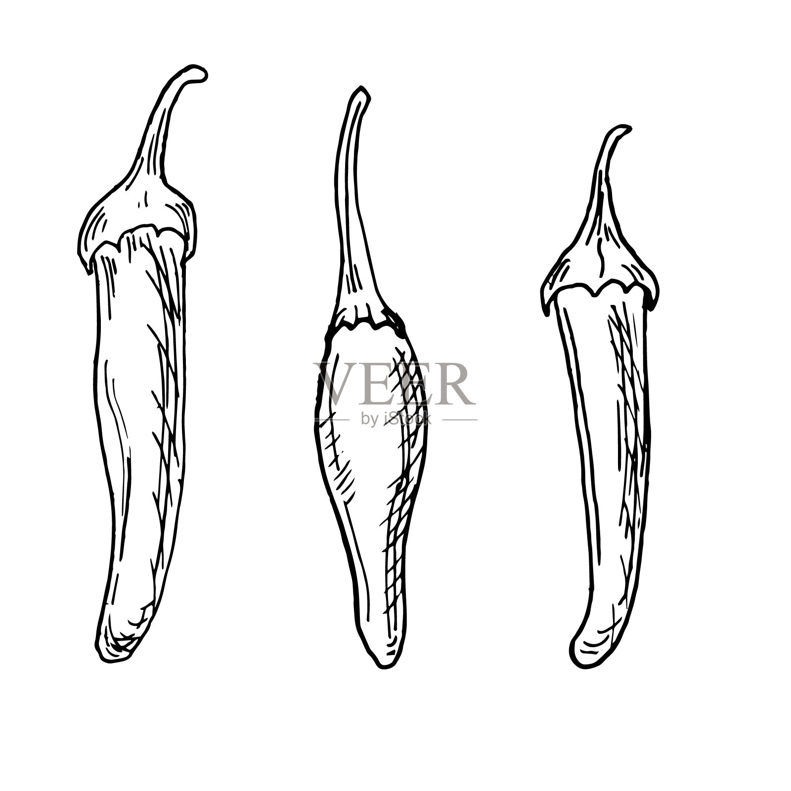 红色塔巴斯科辣椒矢量插图隔离在白色背景。手绘墨辣椒。辣椒黑白图形。包装、菜单、包装的设计元素插画图片素材