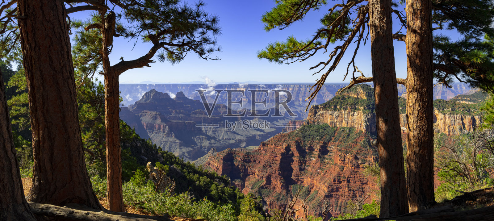 大峡谷北缘照片摄影图片