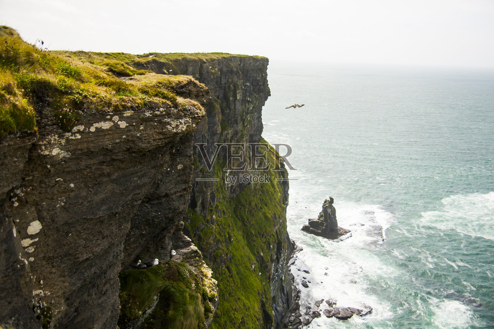 爱尔兰莫赫悬崖(Aillte An Mhothair)的春天风景照片摄影图片