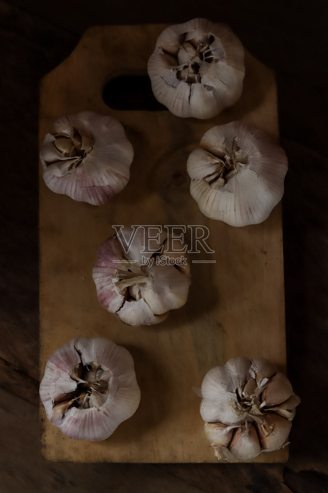 草本植物照片摄影图片