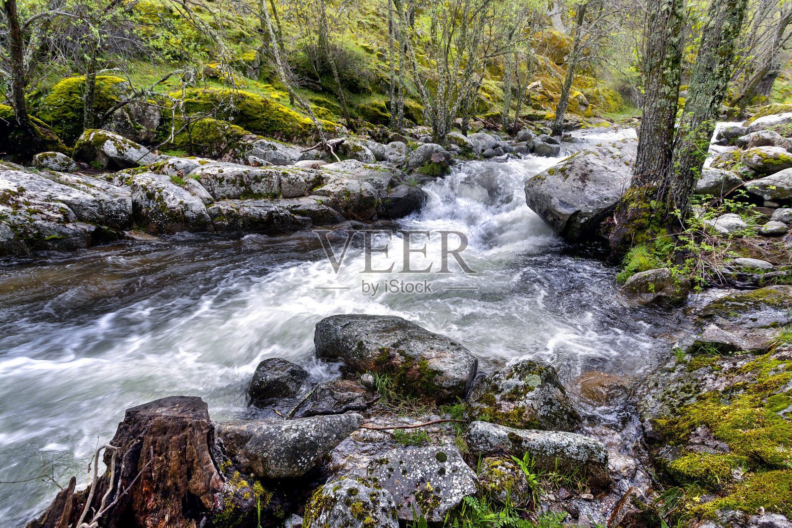 里约热内卢Iruelas照片摄影图片