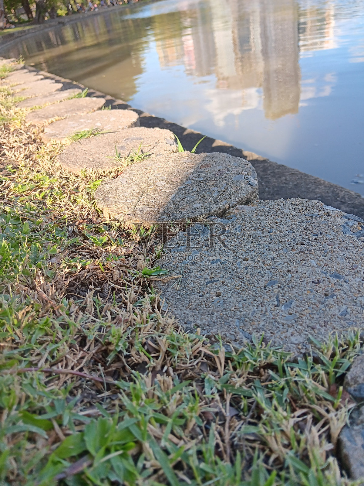 花园里的草坪照片摄影图片
