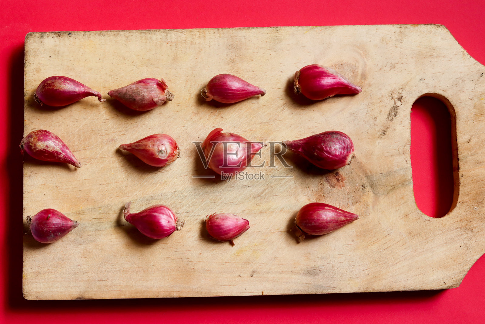 草本植物照片摄影图片