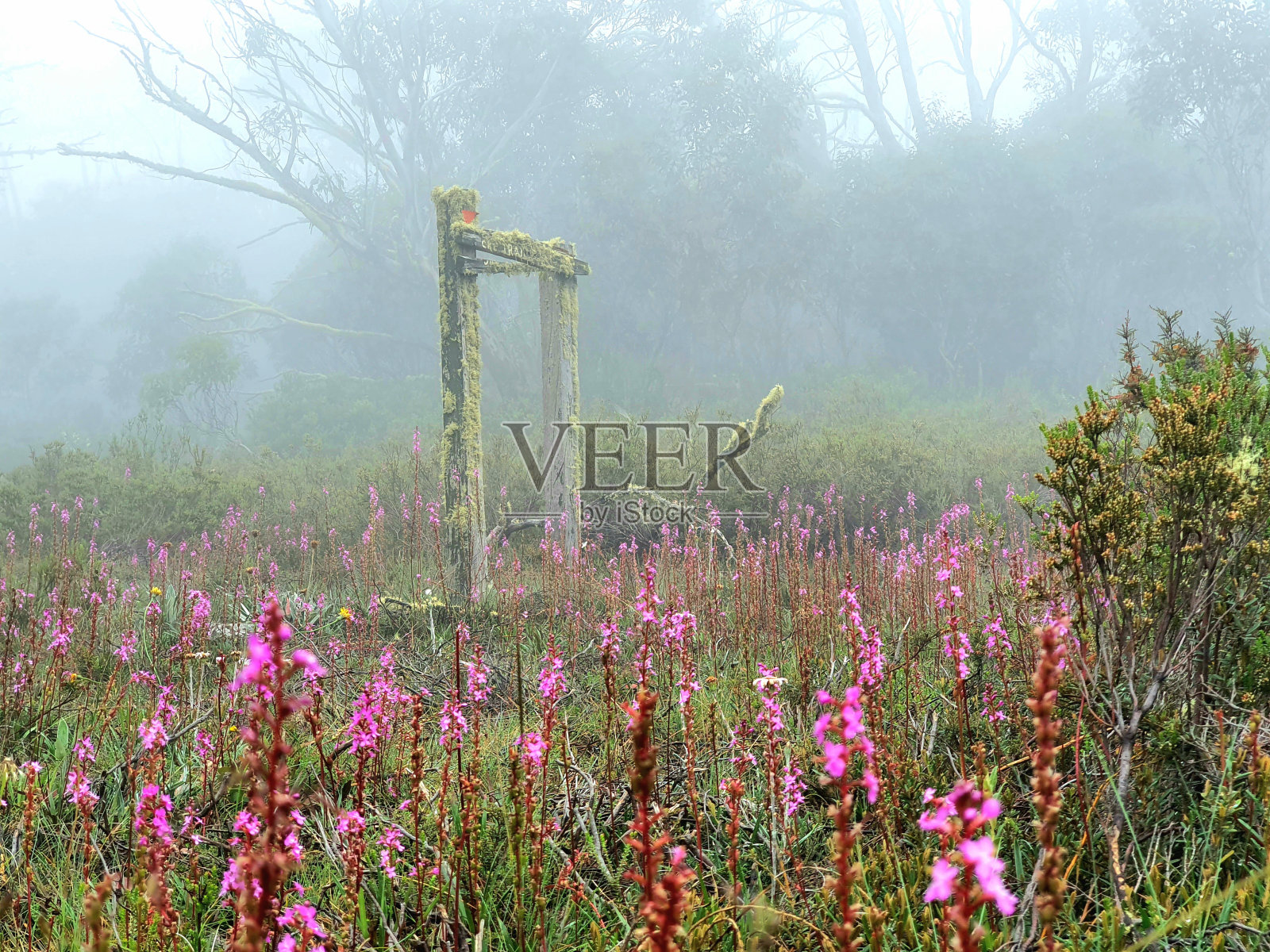 山脉和徒步旅行-高山照片摄影图片
