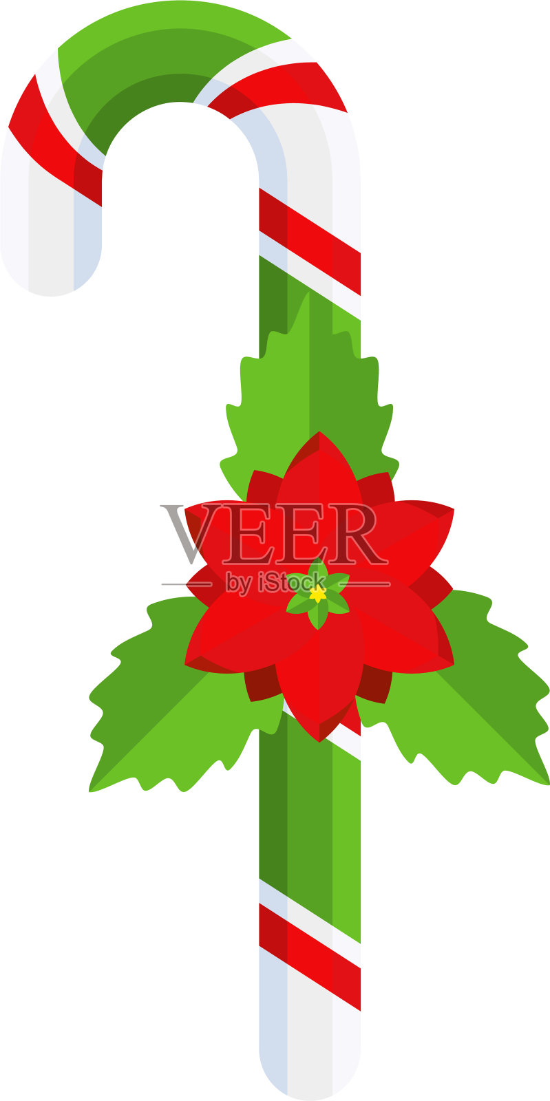 圣诞糖果手杖与一品红。设计元素插画图片素材