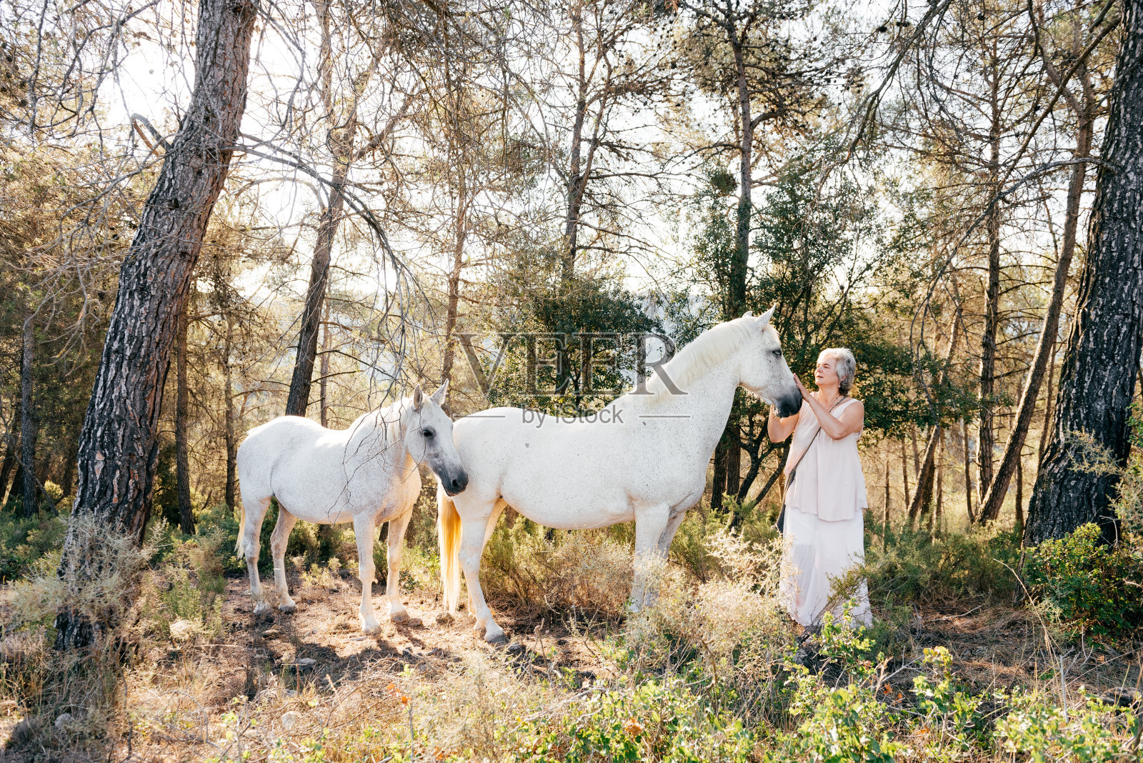 中年妇女站在农村附近的灰色的马在白天照片摄影图片