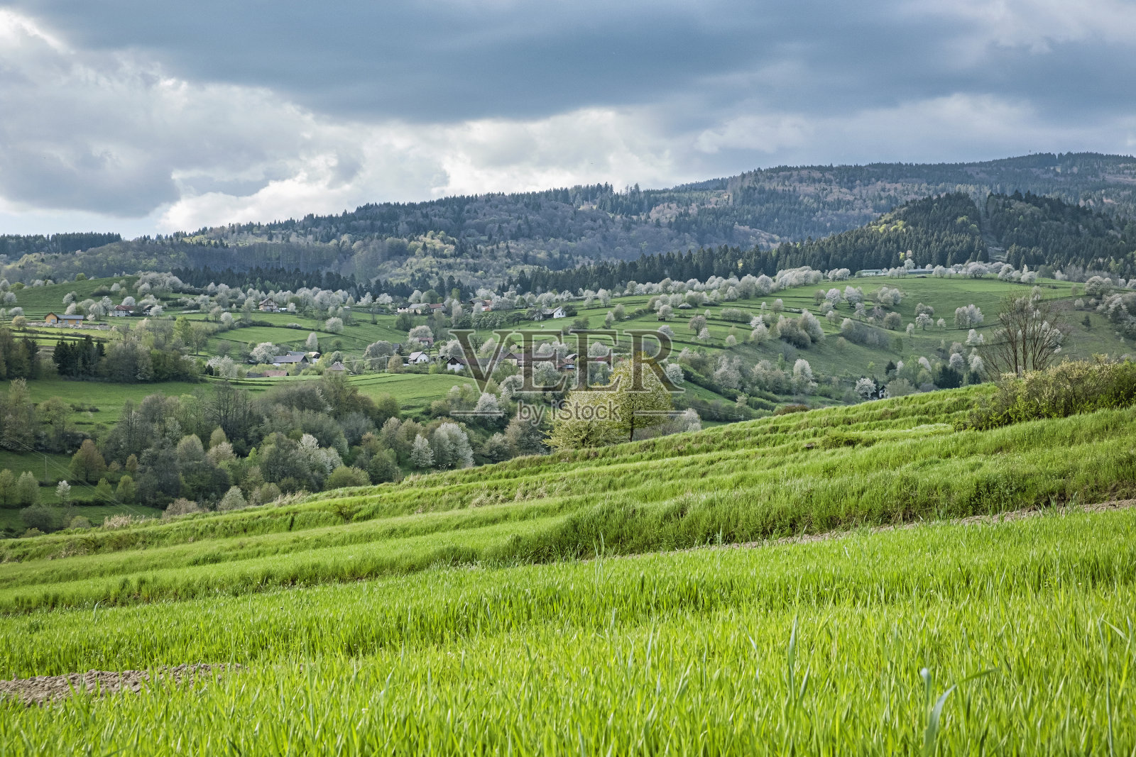 历史悠久的农业景观，赫里诺夫斯克懒，斯洛伐克照片摄影图片