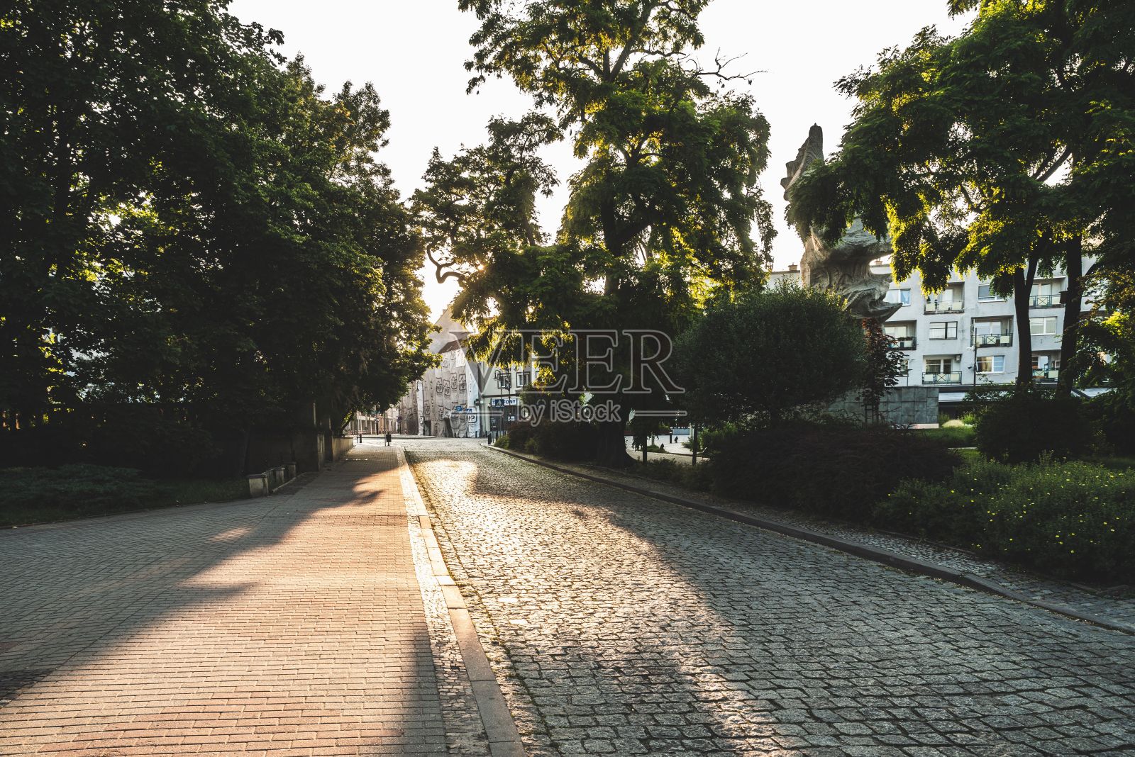 太阳照在马路旁边的街道上照片摄影图片