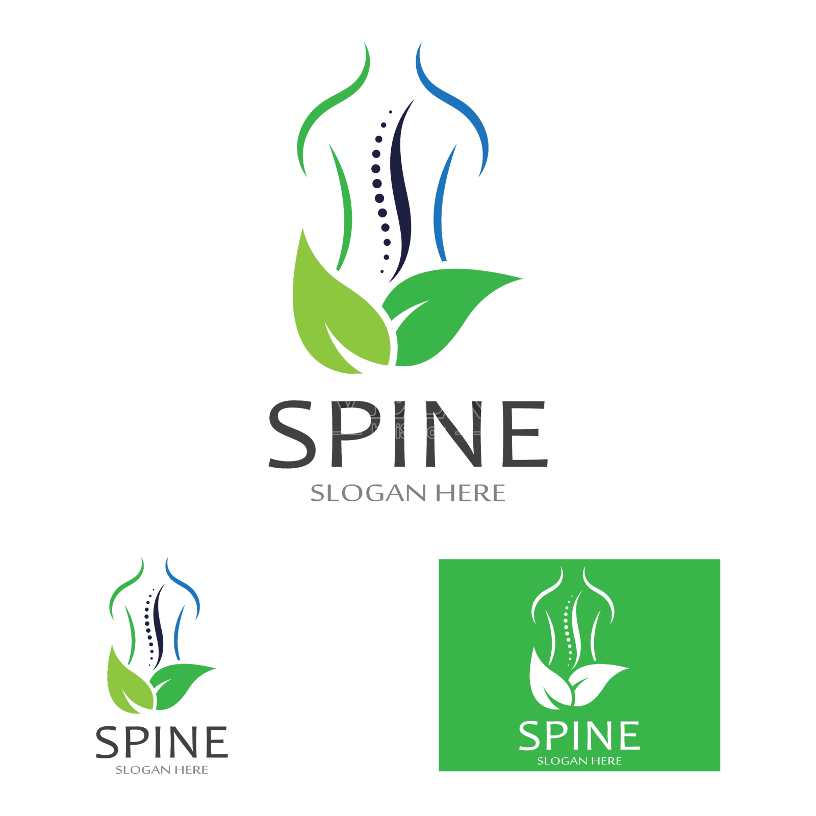 脊柱诊断、脊柱护理和脊柱健康设计元素图片