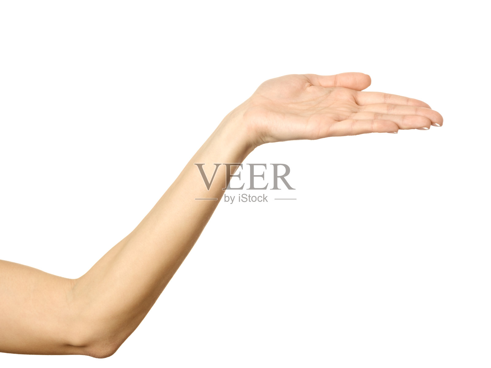 伸出的女性的手。女人的手势孤立在白色上照片摄影图片