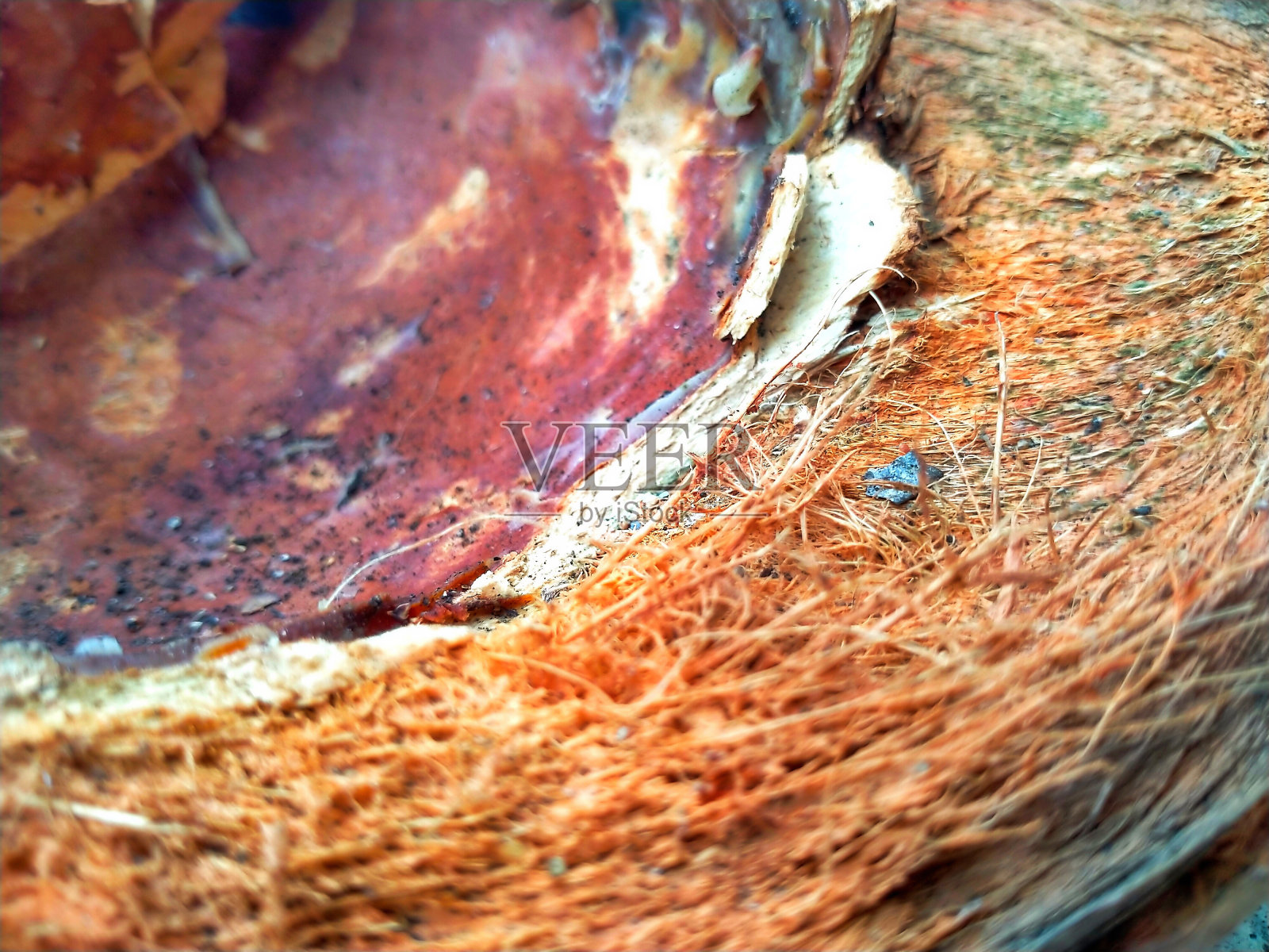 椰子壳和纤维有很多用途照片摄影图片