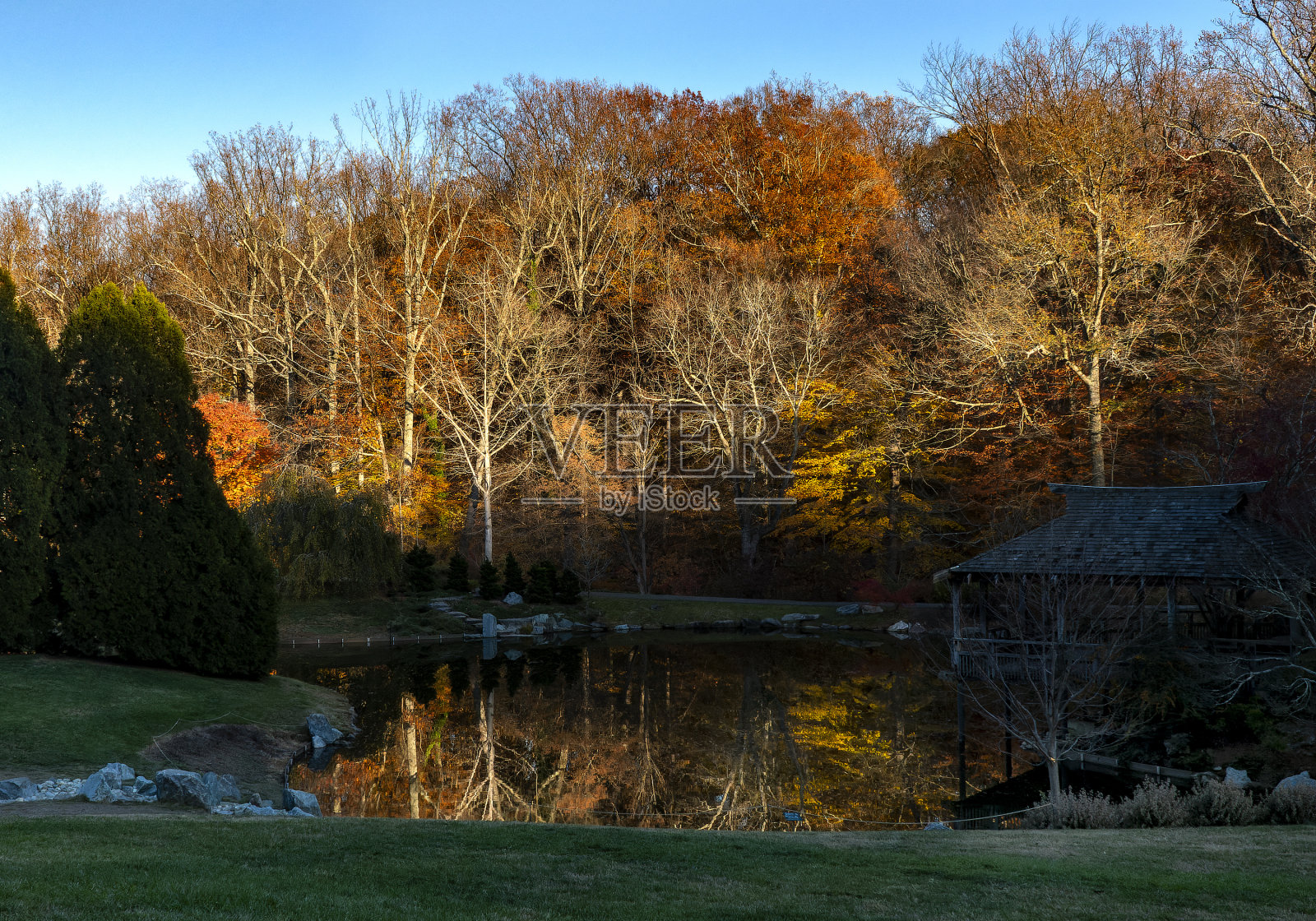 湖面上的秋色照片摄影图片