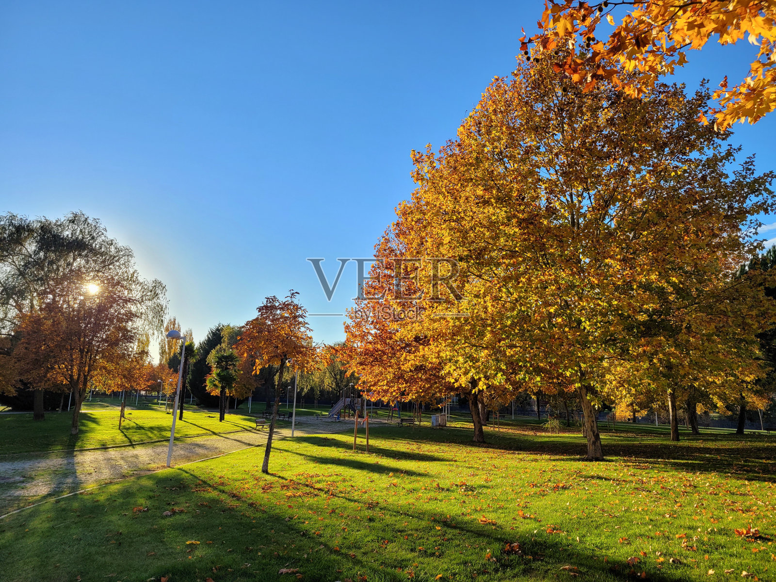 萨拉曼卡的格罗夫公园照片摄影图片