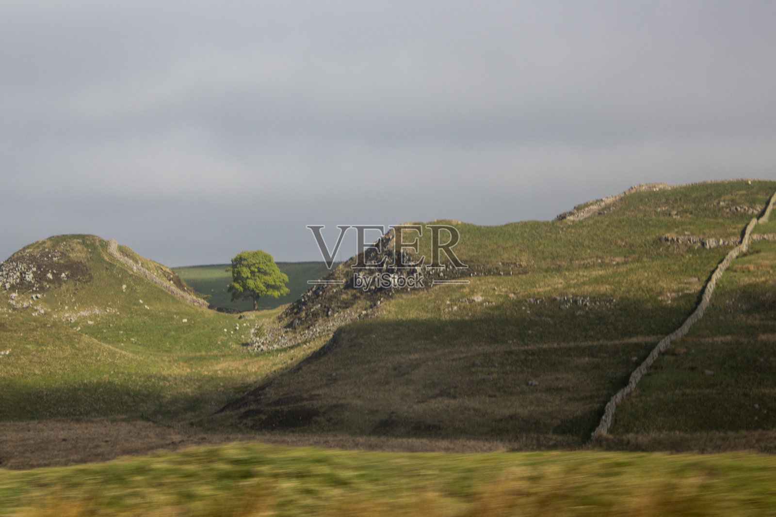 以哈德良长城和标志性的梧桐树峡谷为背景的英国乡村。照片摄影图片