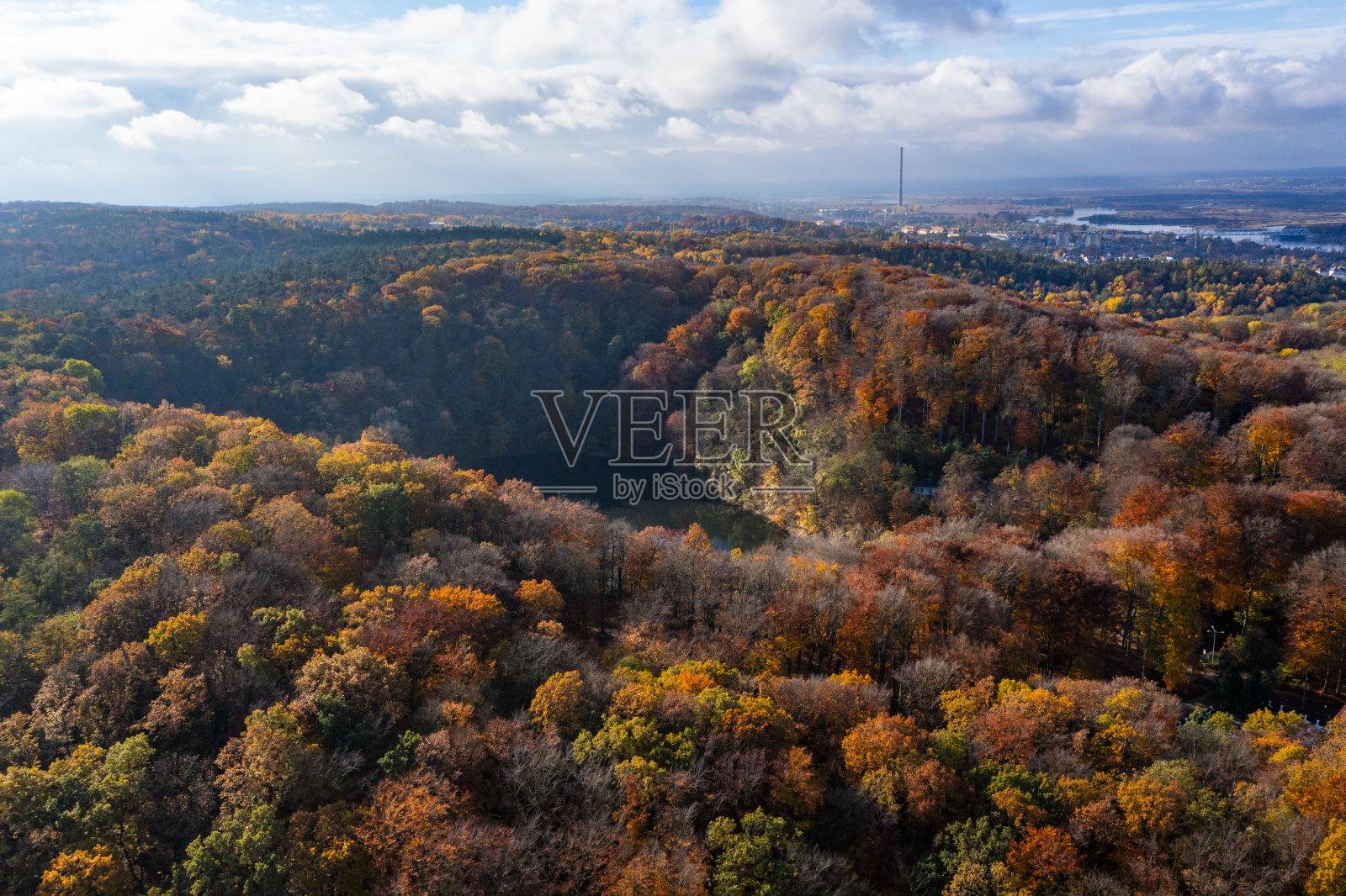 波兰一架无人机拍摄的美丽秋季森林景观。照片摄影图片