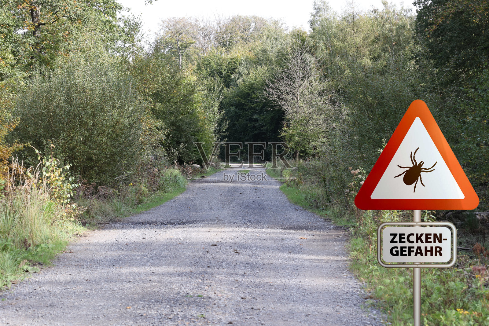 蜱虫警告标志。莱姆病和蜱传脑膜炎(脑膜脑炎)的传播者照片摄影图片