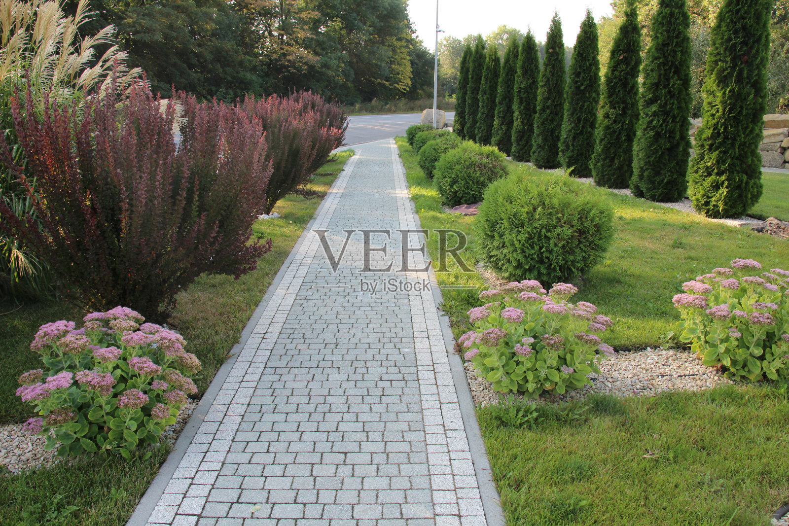 园林、公园、广场、休闲区的景观设计照片摄影图片