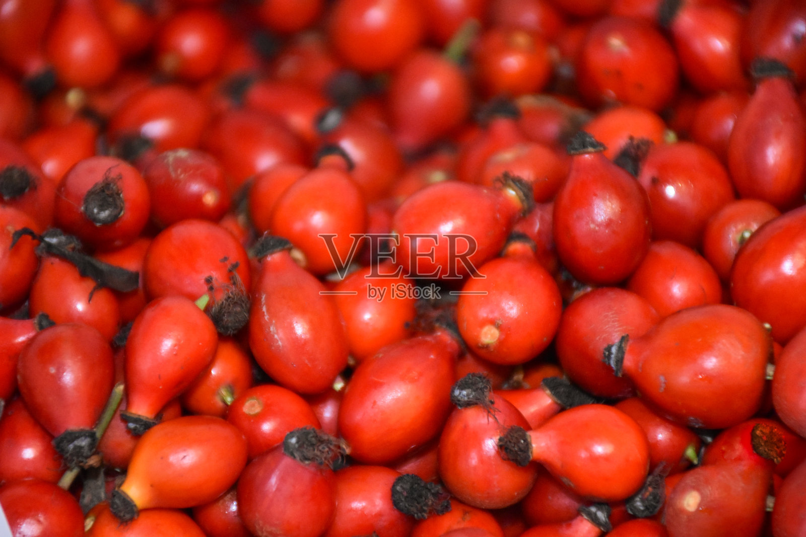 玫瑰果的背景纹理。新鲜的红蔷薇，新鲜的浆果背景。狗玫瑰莓照片摄影图片