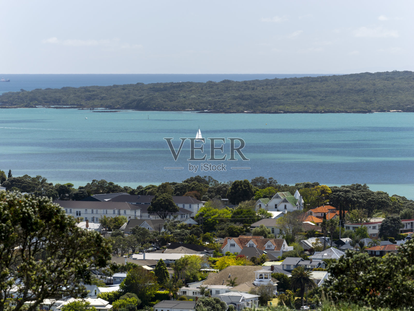 新西兰奥克兰的住宅照片摄影图片