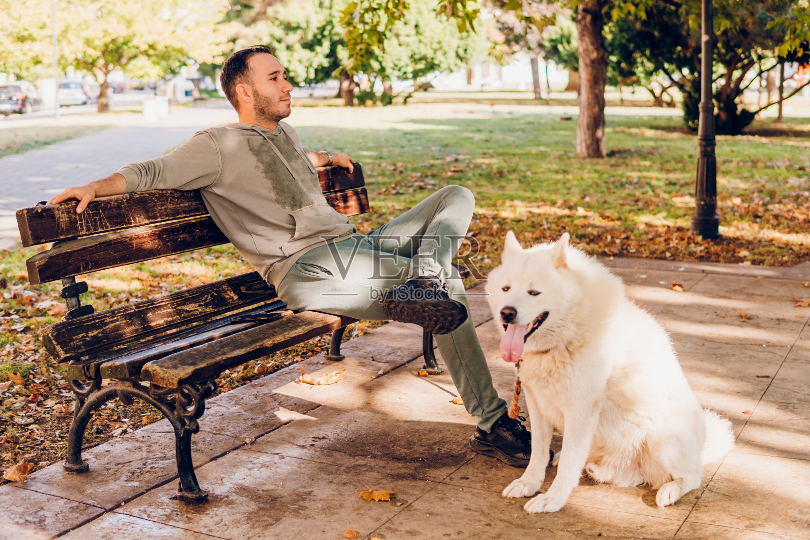 男人和狗在公园里玩耍照片摄影图片