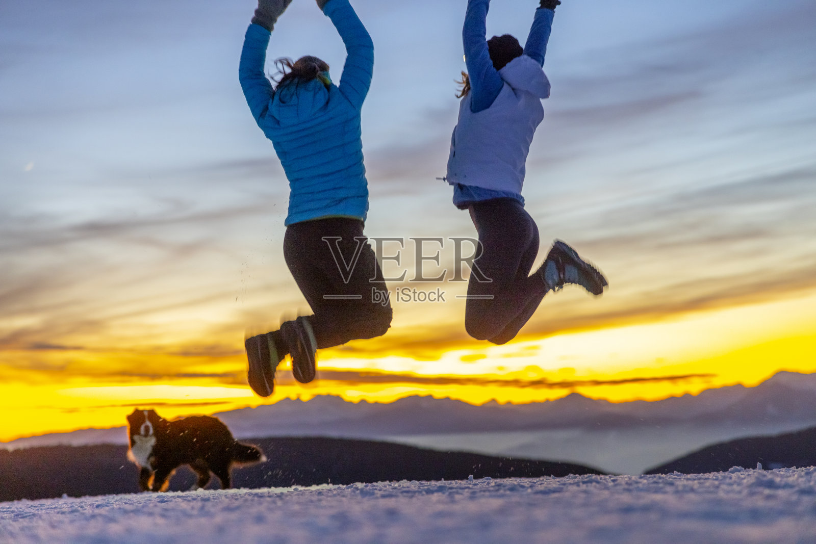 伯尔尼山宠物狗与两个女性朋友在冬天的大自然中跳跃照片摄影图片