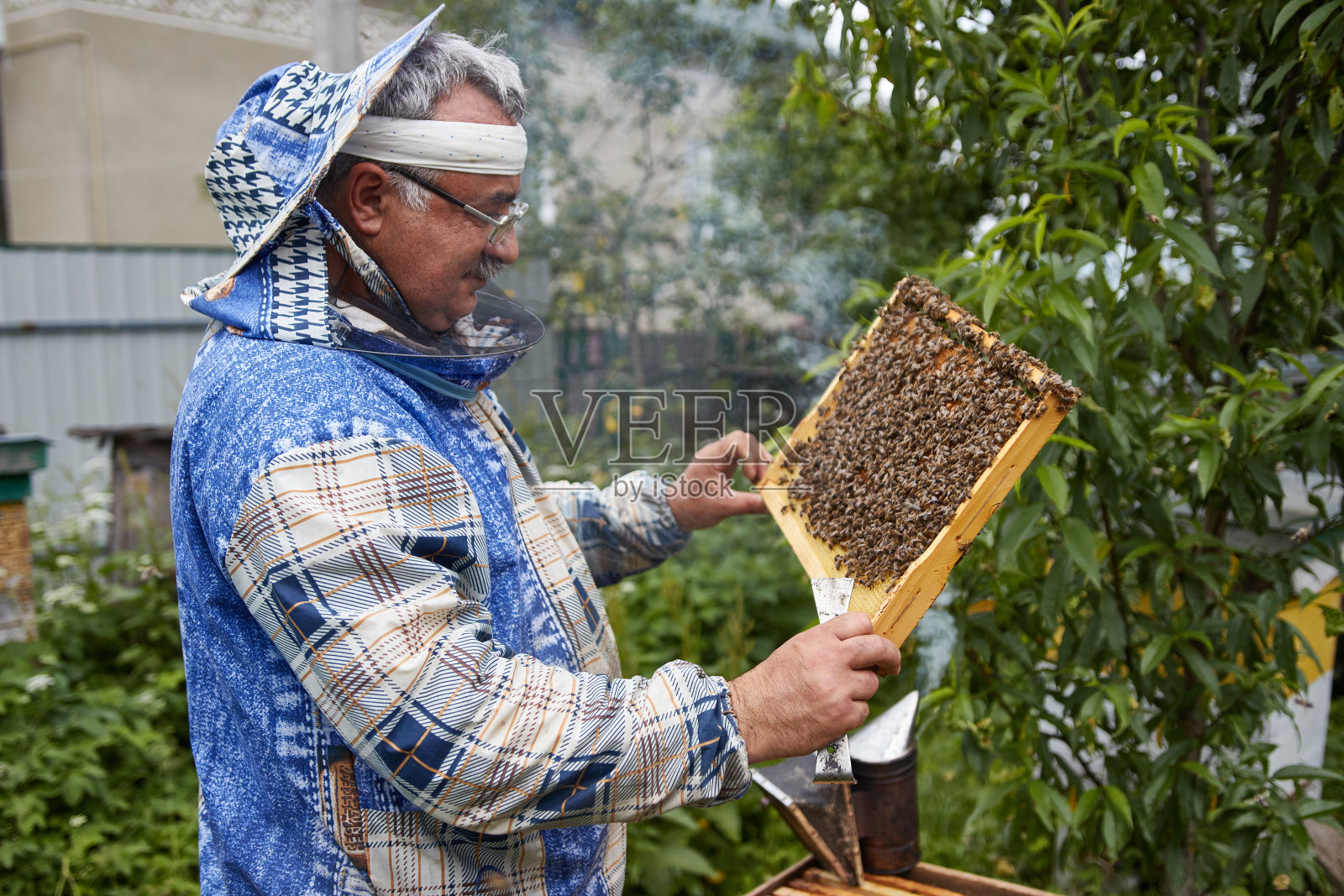 养蜂人从蜂箱中取出框架。夏天在养蜂场工作。照片摄影图片