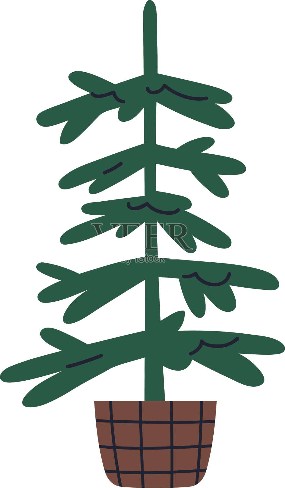 在篮子里生长的裸冷杉树是真正的枞树设计元素图片