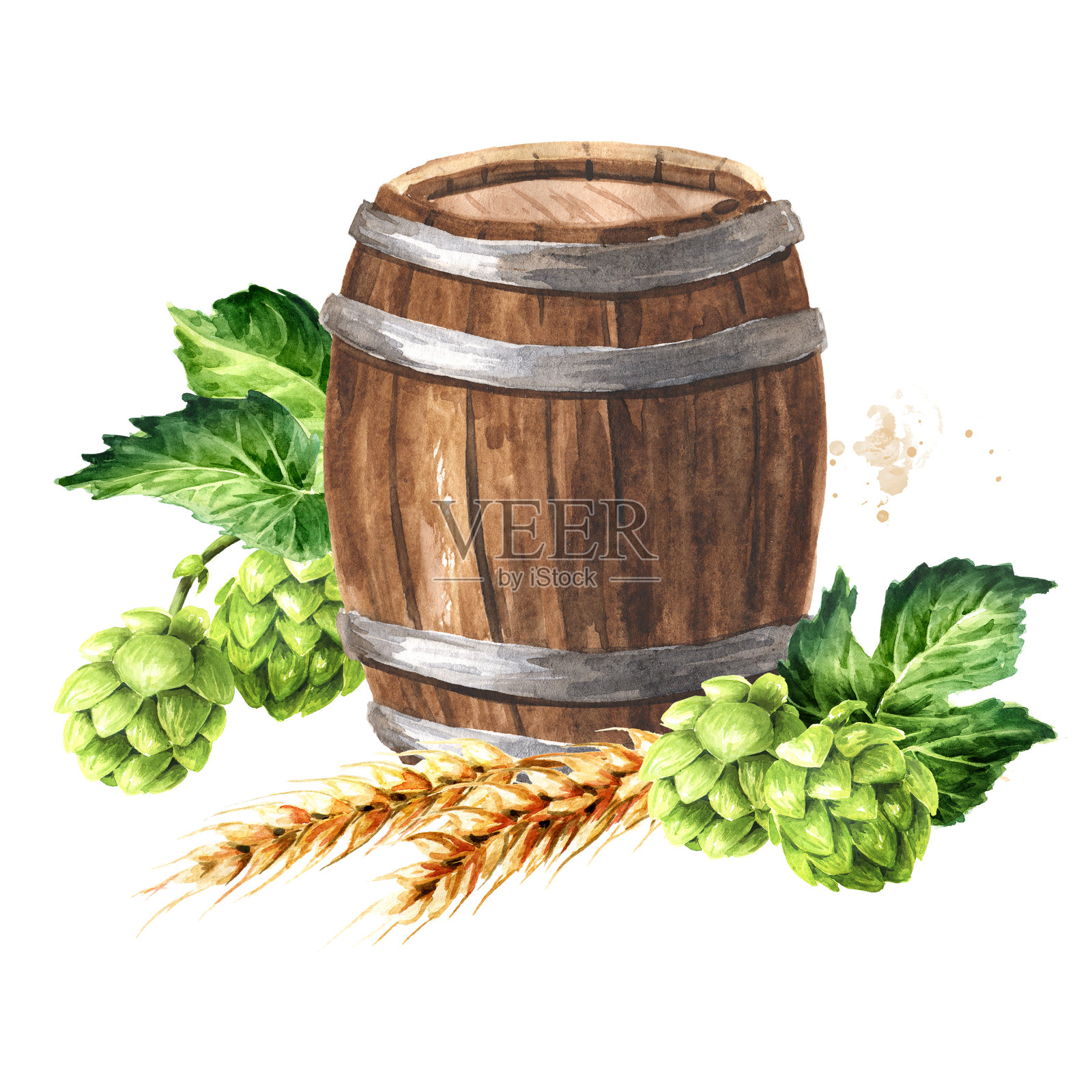 木桶里装着啤酒和新鲜的绿色啤酒花，还有麦穗和大麦。手绘水彩插图，孤立在白色背景上插画图片素材