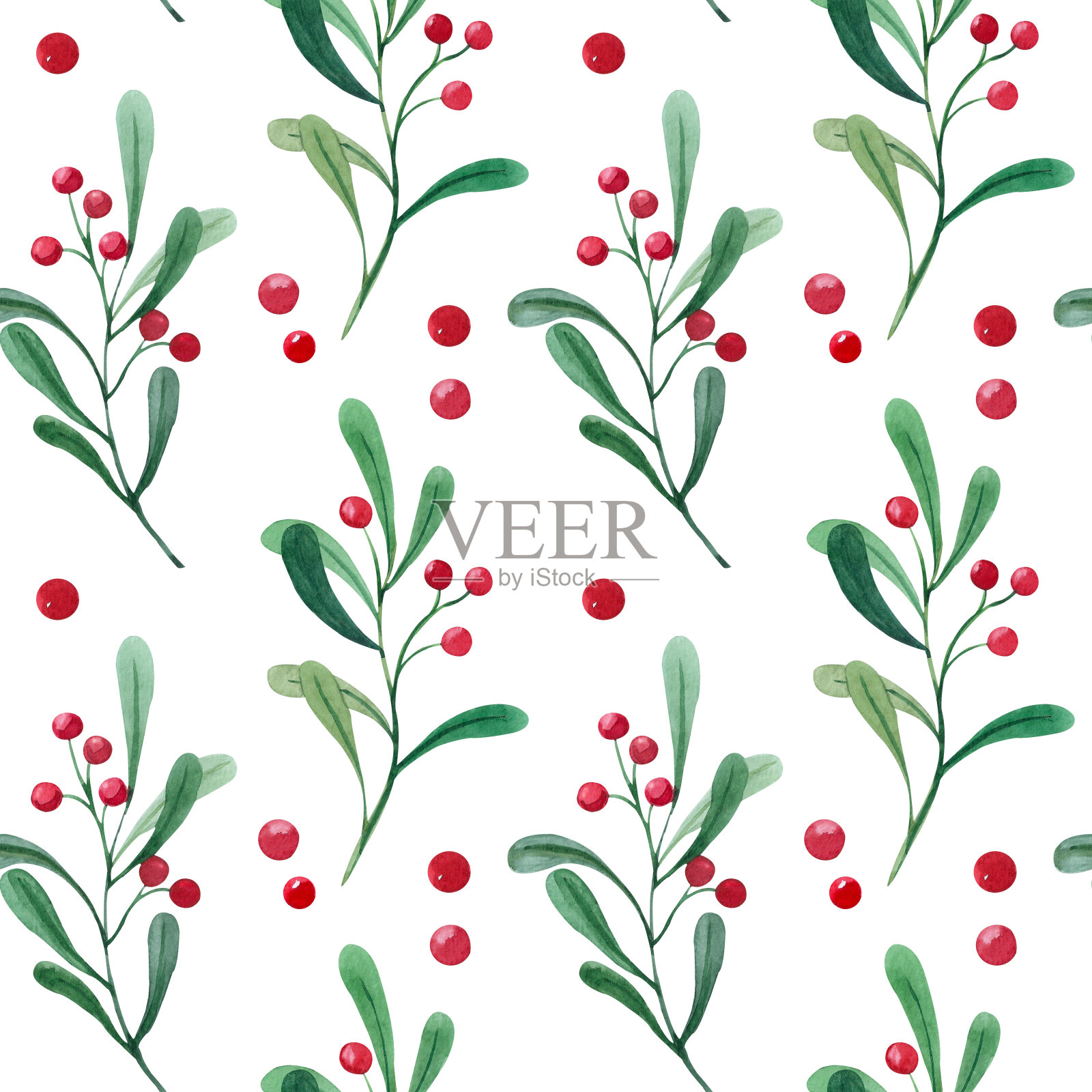 浆果图案插画图片素材