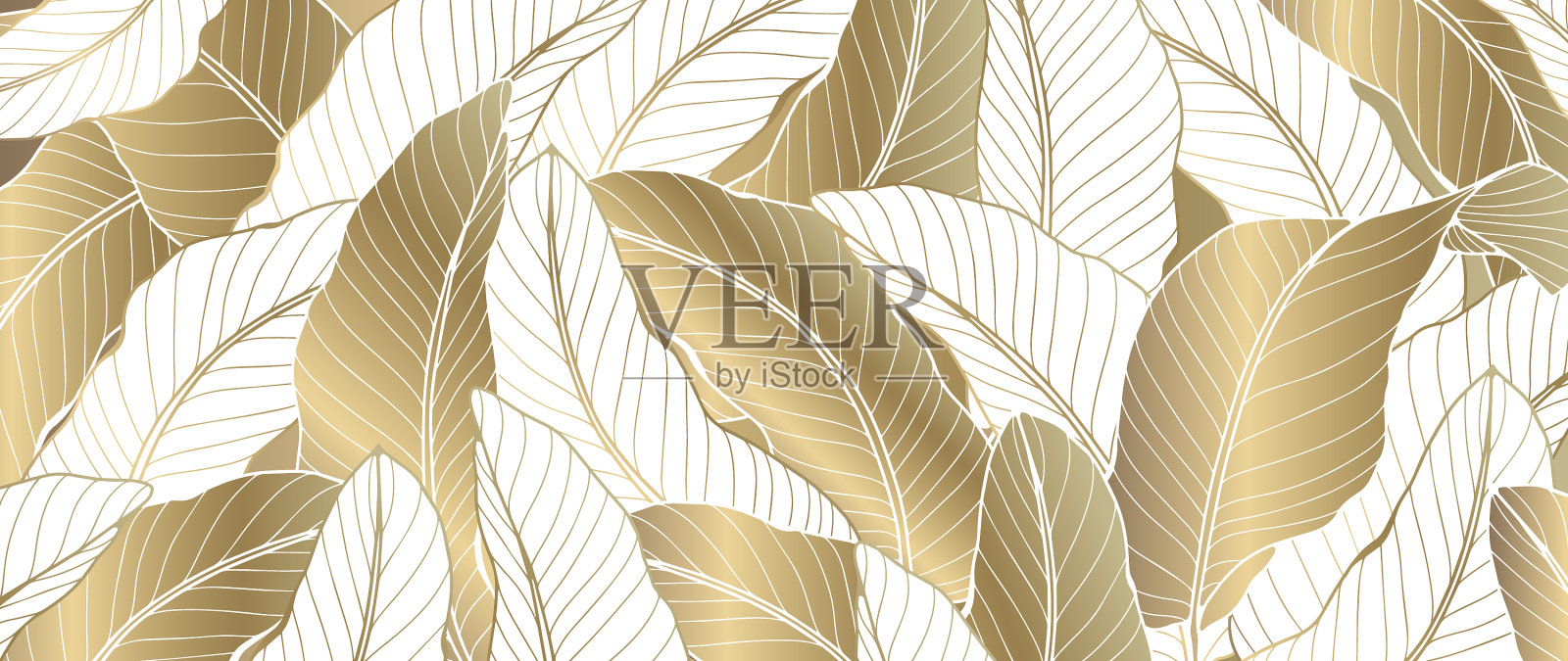 奢华的植物背景与金色的叶子插画图片素材