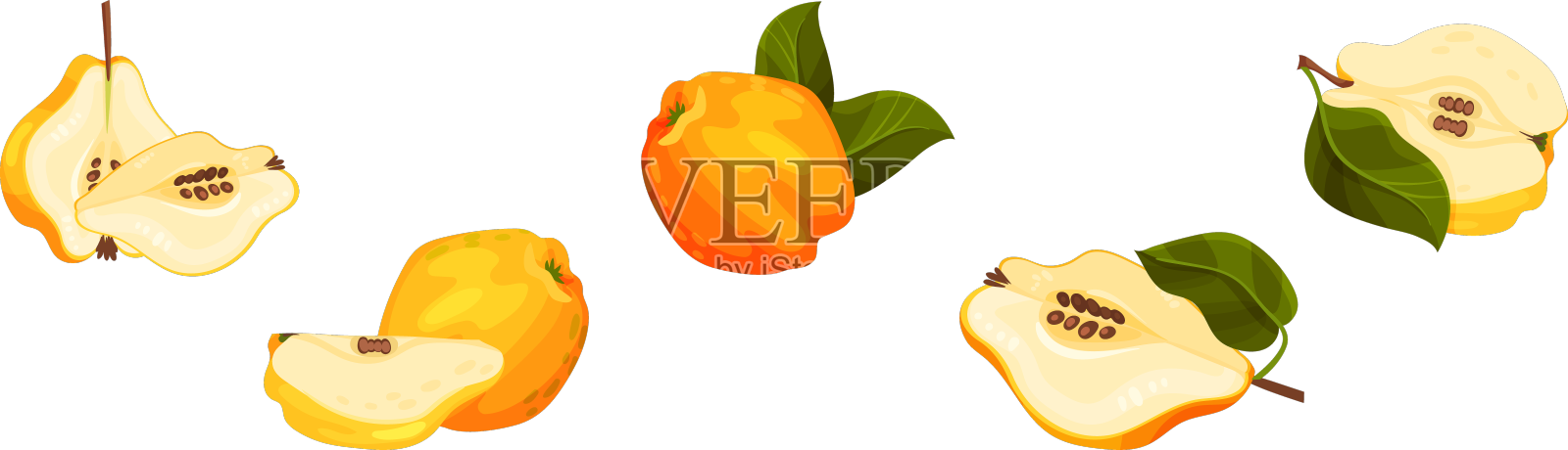 木瓜果实全半带茎设计元素图片