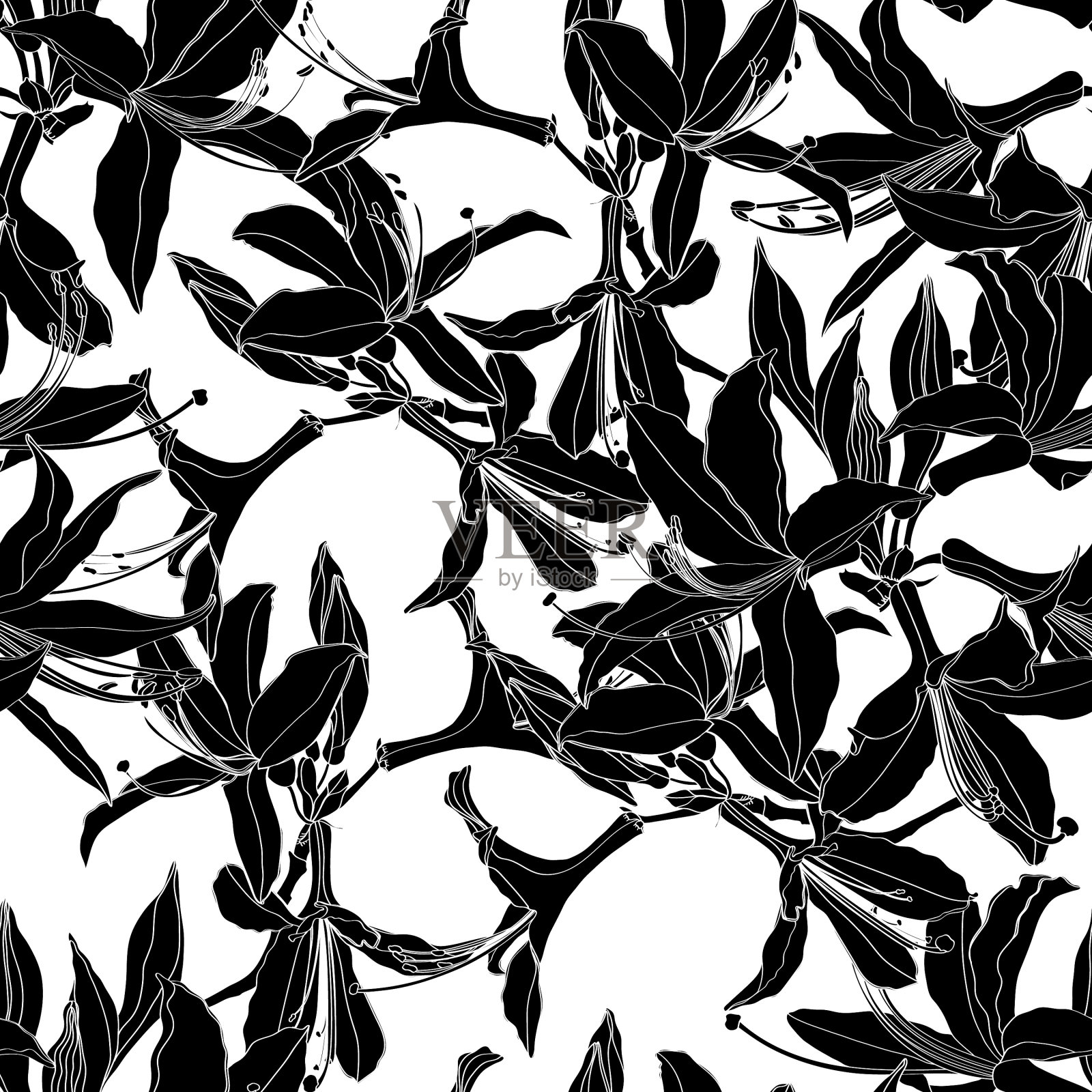 无缝图案与线杜鹃花插画图片素材