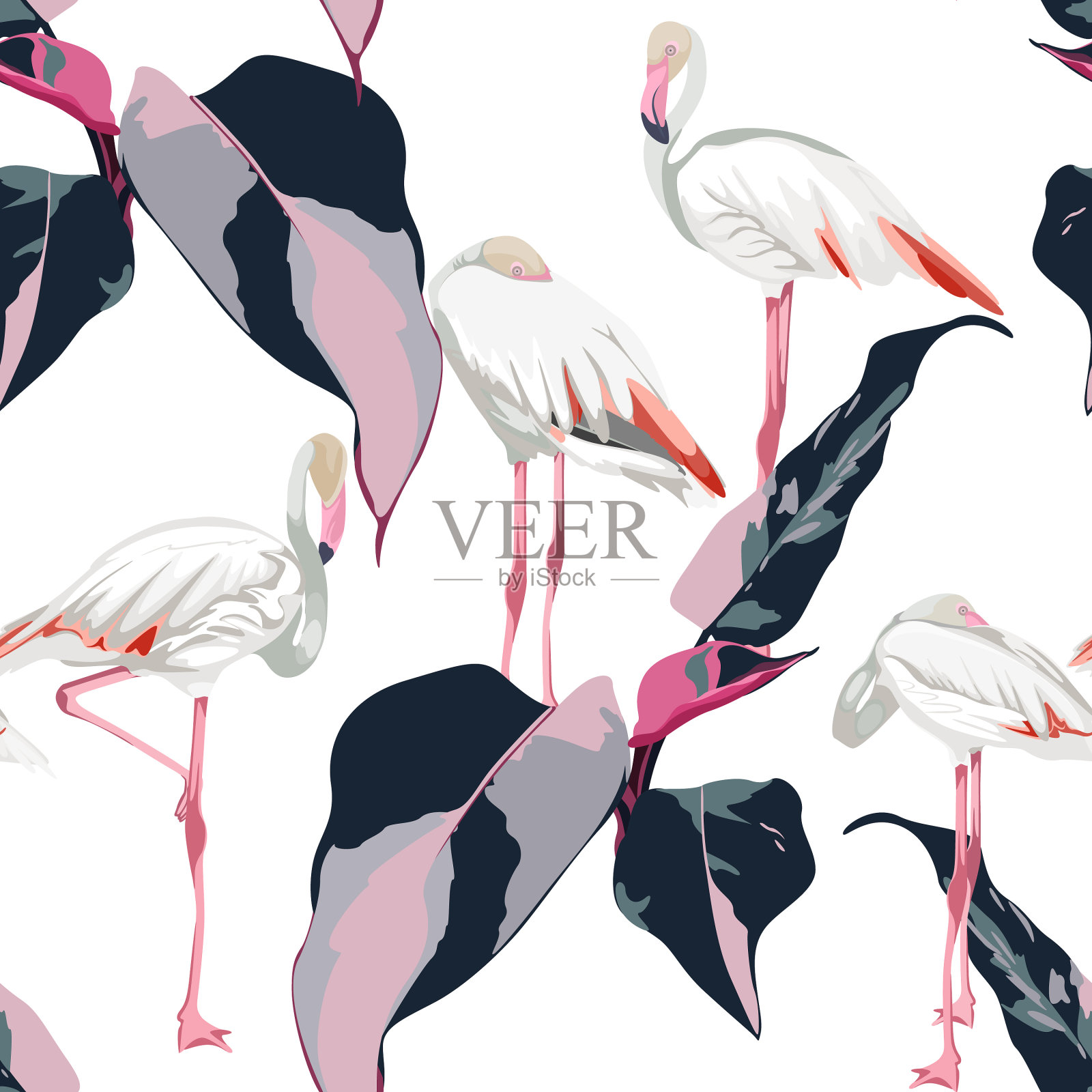白色火烈鸟的无缝图案插画图片素材