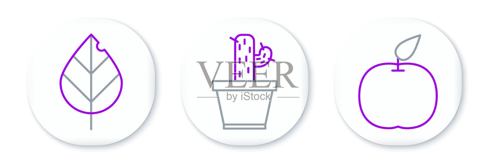 将苹果叶、仙人掌和多肉放入插画图片素材