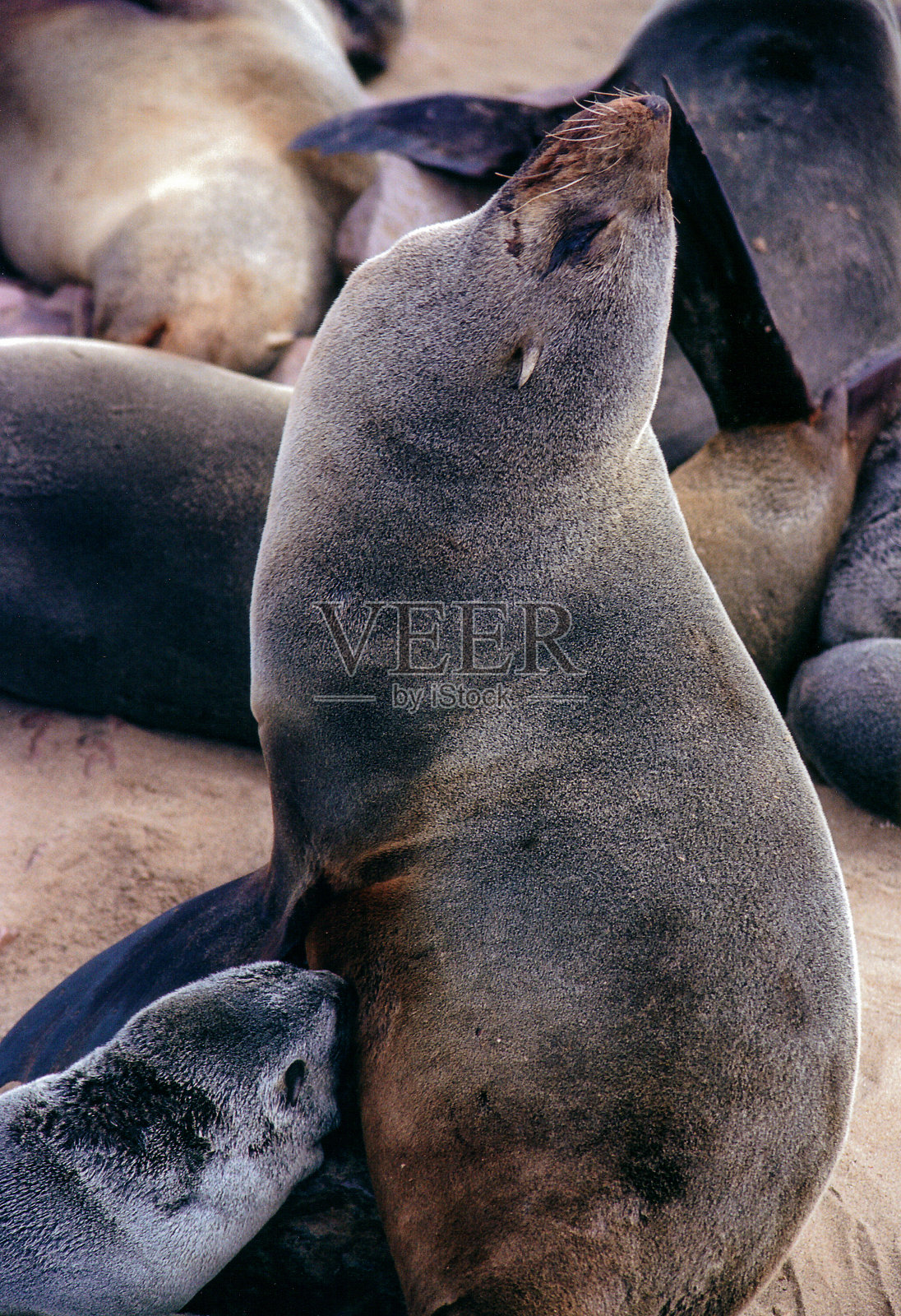 纳米比亚-非洲之梦照片摄影图片