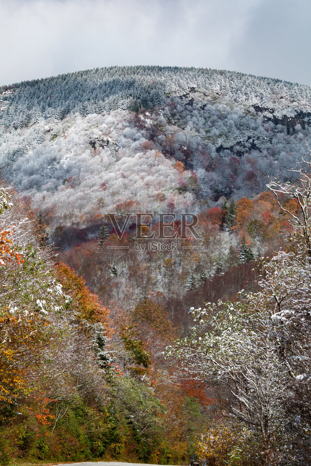皮斯加国家森林的霜冻秋景照片摄影图片