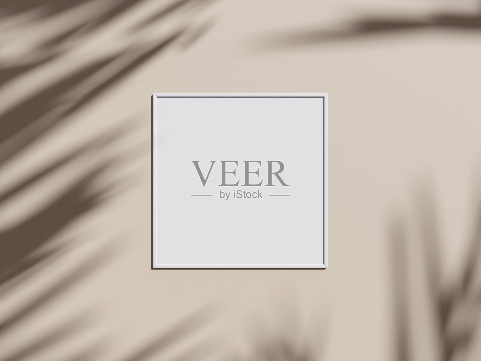 最小框架模型照片摄影图片