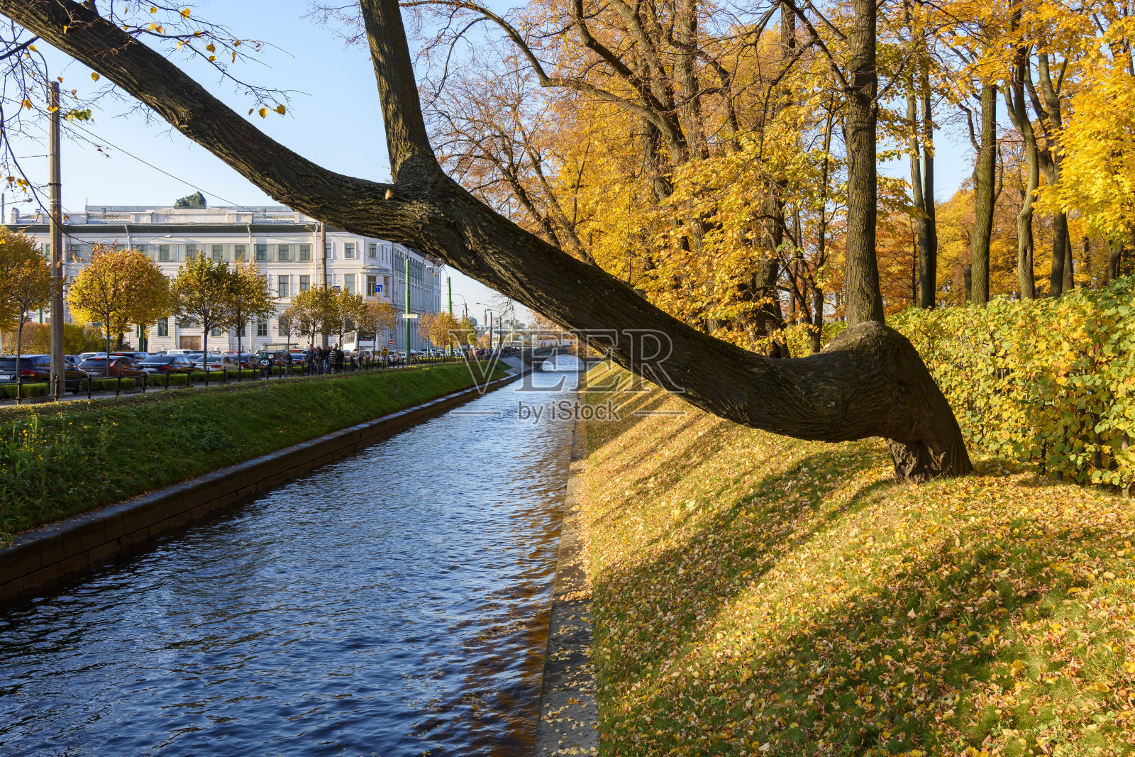 俄罗斯圣彼得堡，秋天，运河和夏日花园的树木照片摄影图片