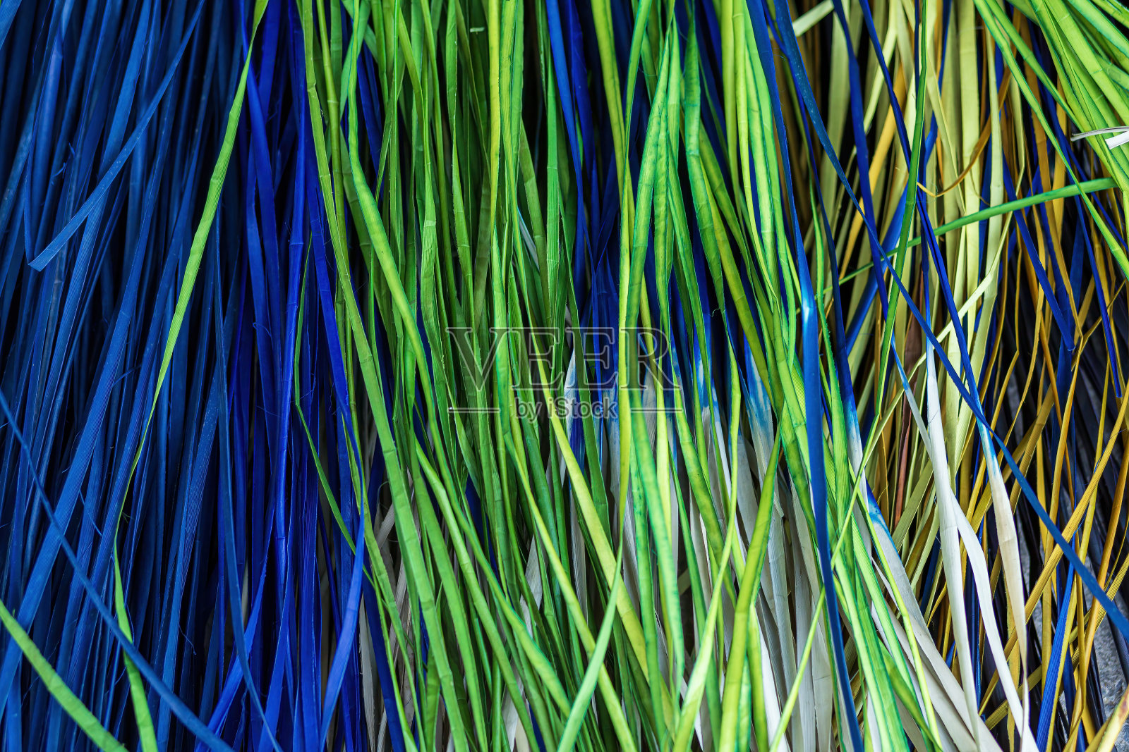 Toei Panan，用来编织袋子、篮子等器具的叶子，产自泰国南部的庄府。照片摄影图片