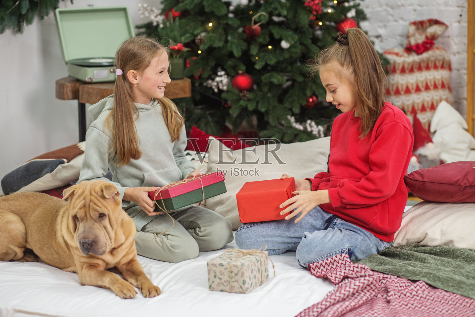 孩子们打开圣诞礼物，祝您圣诞快乐，节日快乐。照片摄影图片