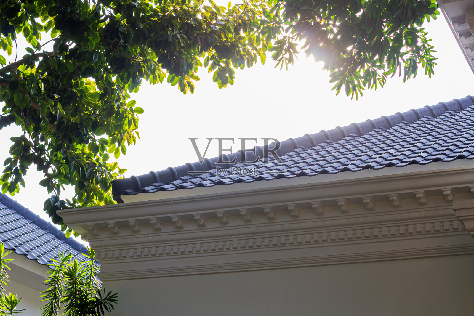 客栈的屋顶有树荫照片摄影图片