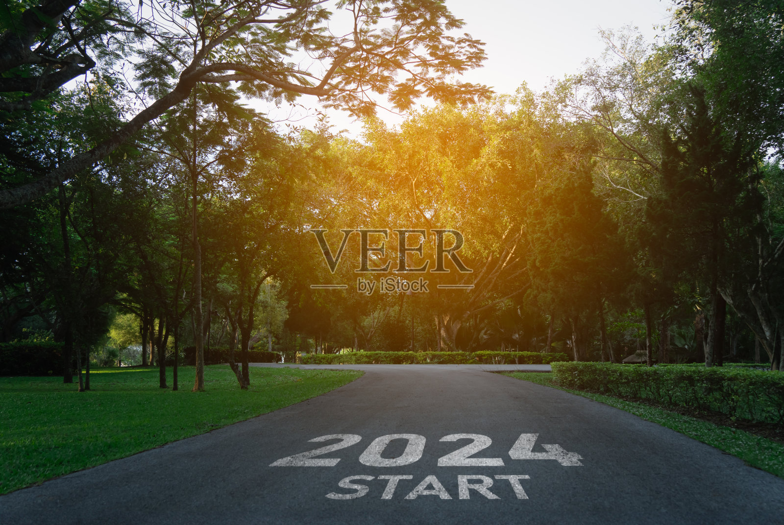 2024年新年快乐，2024年象征着新的一年的开始。在自然路线道路上开启新的2024年的信有绿化环境生态或绿色壁纸的概念。照片摄影图片