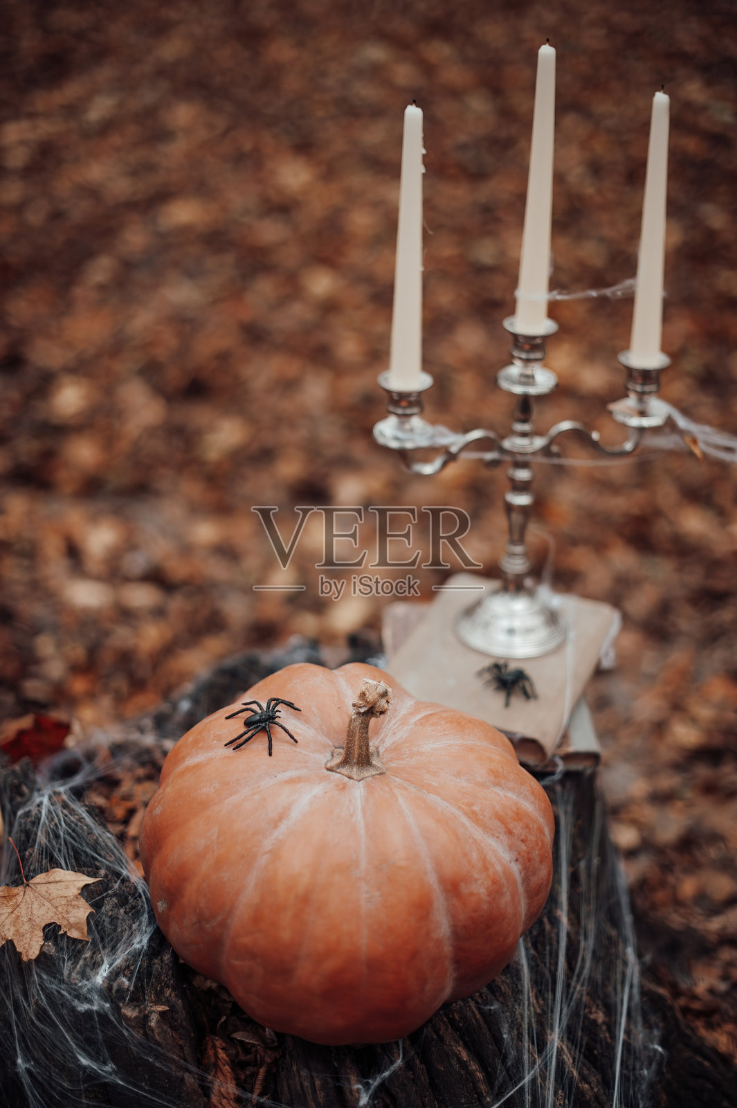 万圣节的南瓜和节日的装饰在秋天的户外树木之间的枫叶照片摄影图片