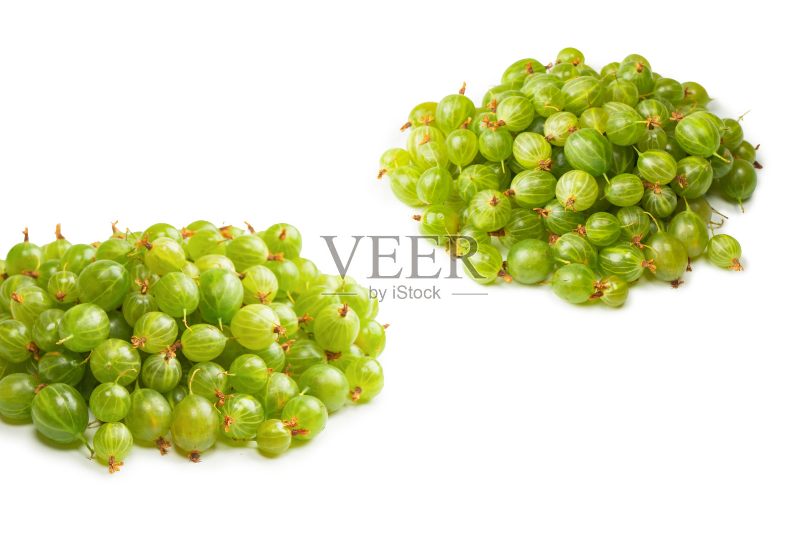 在白色背景上孤立的一群醋栗照片摄影图片