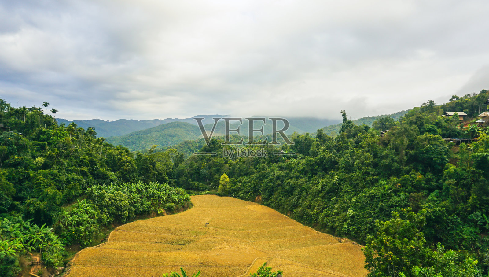 泰国湄宏山的怀宏，雨季和冬季的农业旅游景点，在丛林和山谷中的村庄梯田上的稻田。照片摄影图片